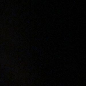 Meet your Posher, Charlie